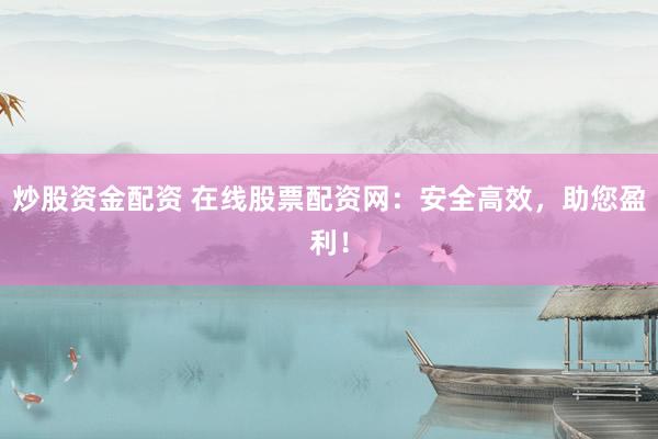 炒股资金配资 在线股票配资网：安全高效，助您盈利！