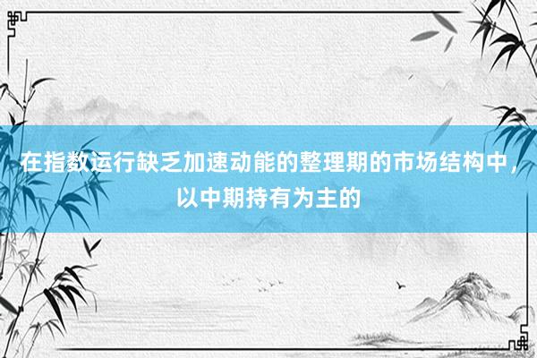 在指数运行缺乏加速动能的整理期的市场结构中，以中期持有为主的