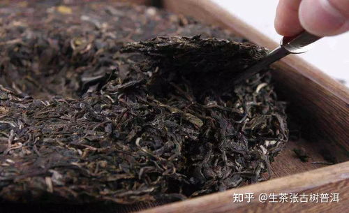 如何区分普洱陈茶与新茶 普洱茶到底哪种好喝